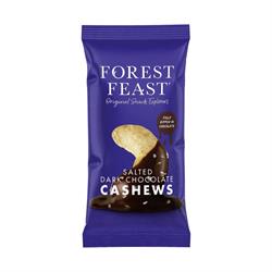 Forest Feast Forest Feast Salted Dark Chocolate Cashews 40g