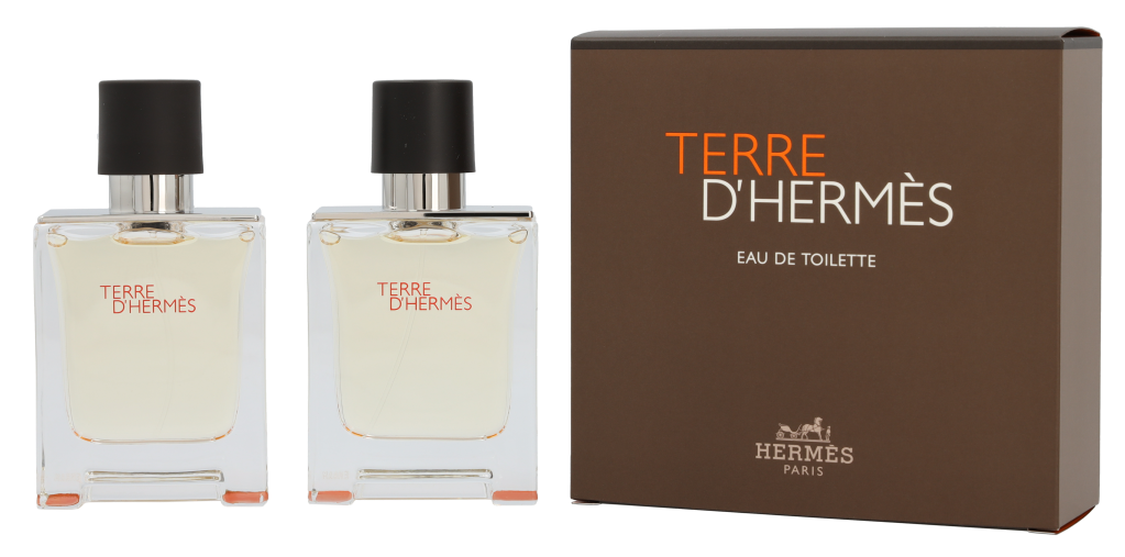 Hermes Terre D'Hermes Duo Sæt 100 ml