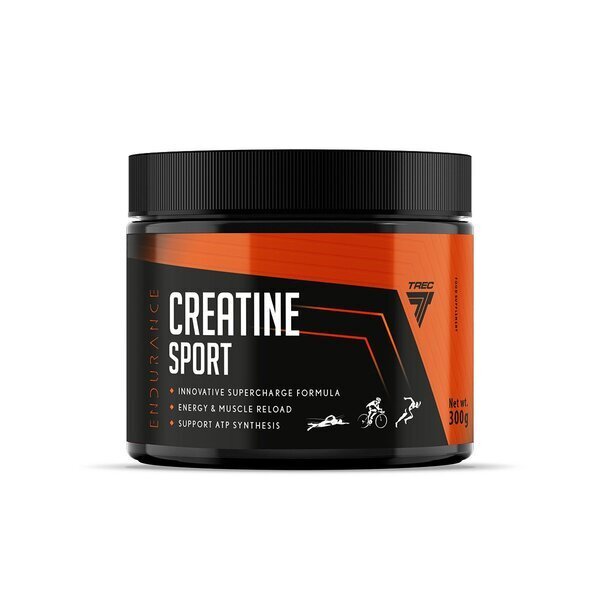 Trec Nutrition, Endurance Creatine Sport, Fruit Punch - 300g