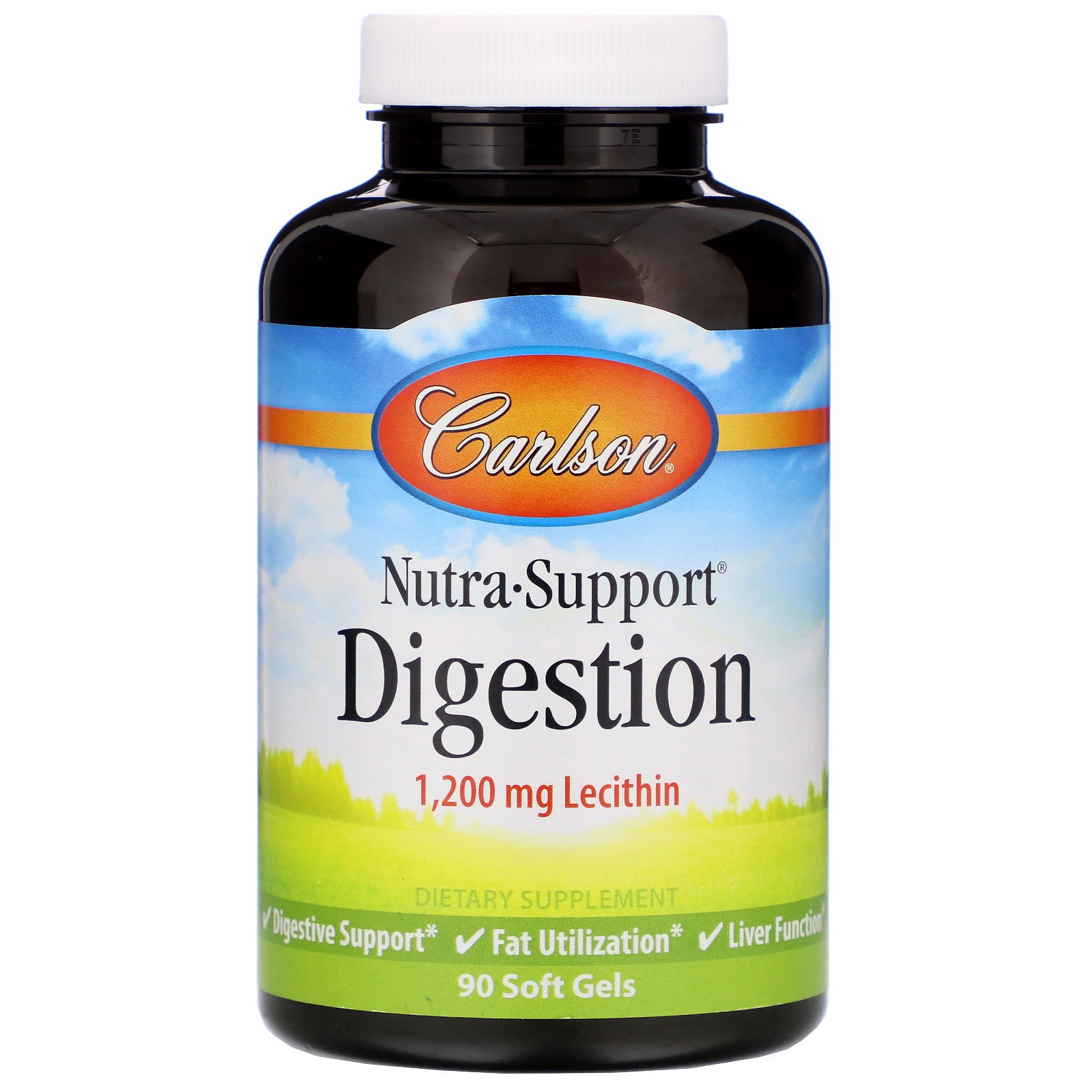 Carlson Labs, Nutra-Support Digestion, 1,200 mg, 90 Soft Gels