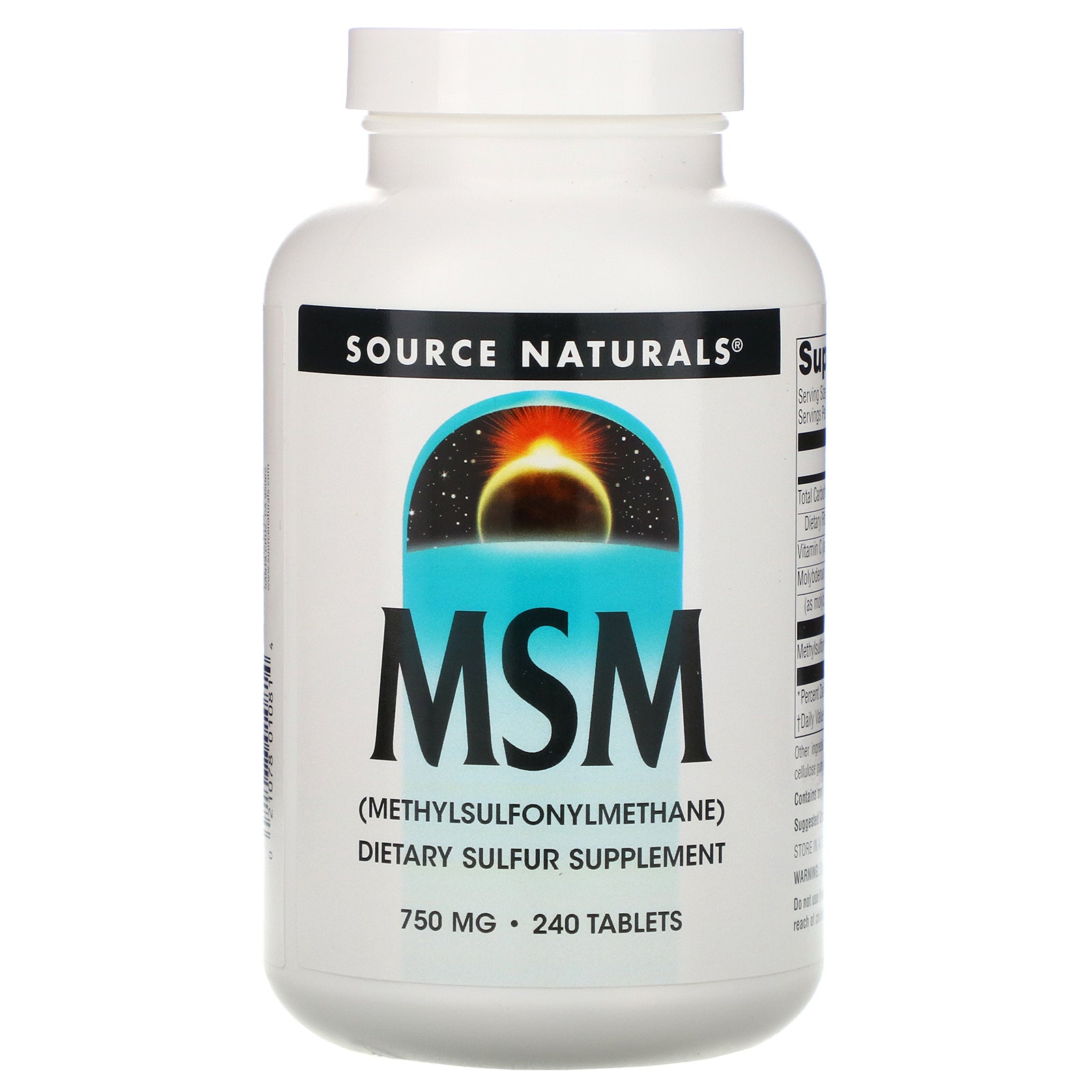 Source Naturals, MSM (Methylsulfonylmethane), 750 mg, 240 Tablets