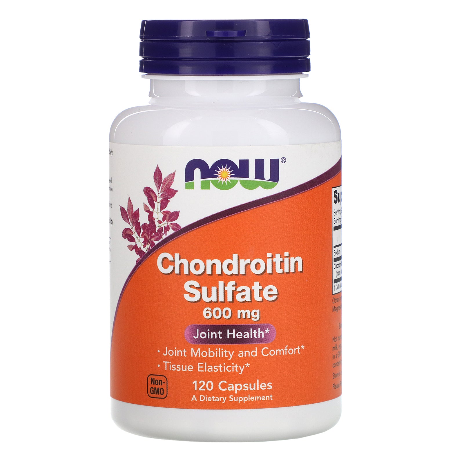 Now Foods, Chondroitin Sulfate, 600 mg, 120 Capsules